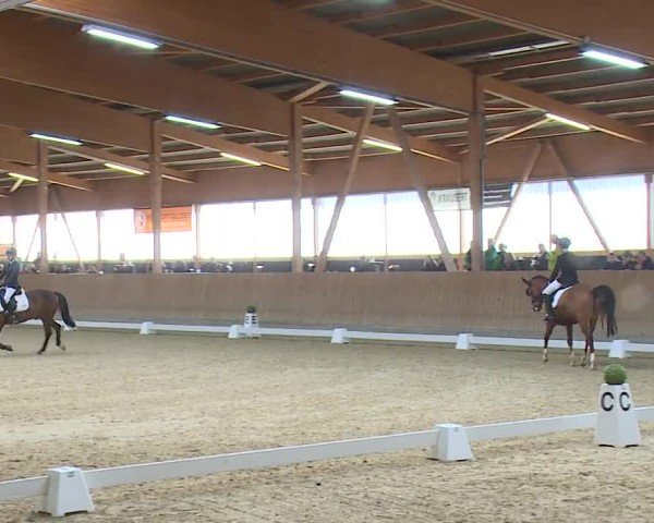 Reitturnier Grafenrheinfeld/Ufr. 2024