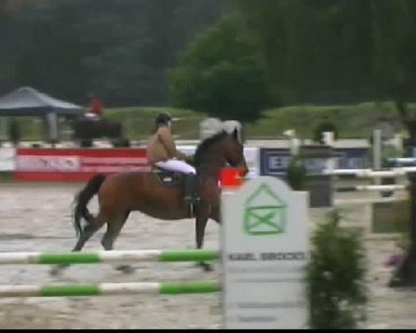Waltrop 2011