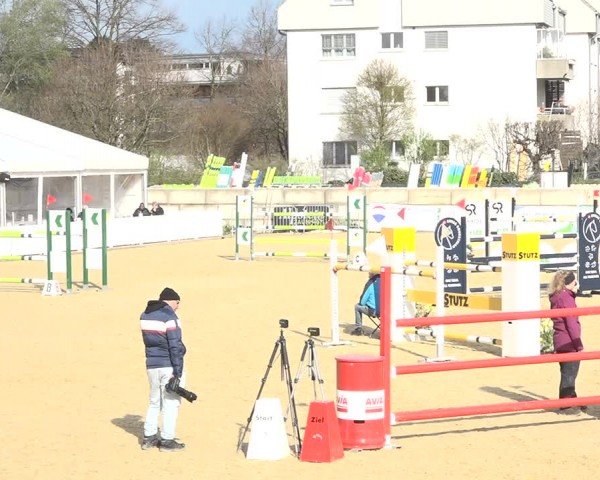 Reitturnier Amriswil 2024