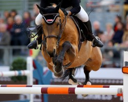 jumper Tanael des Bonnes (Selle Français, 2007, from Watch Me van 't Zorgvliet)