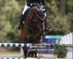 jumper Orbetello (Oldenburg, 2003, from Orlando van de Heffinck)