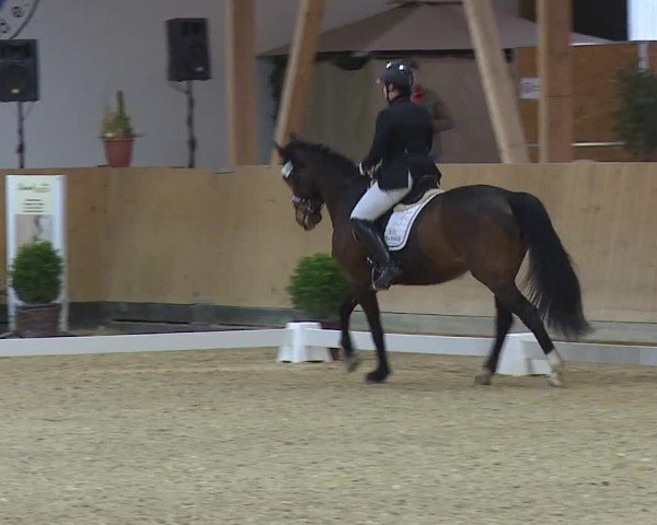 Reitturnier Grafenrheinfeld/Ufr. 2024