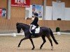 dressage horse Donna Wetta (German Sport Horse, 2009, from Birkhofs Denario)