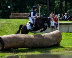 broodmare Little Vaijana (German Riding Pony, 2014, from Dornik-Double)