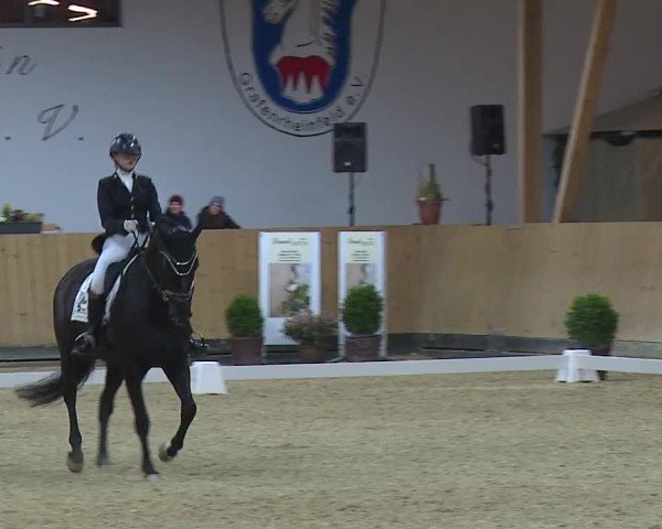 Reitturnier Grafenrheinfeld/Ufr. 2024