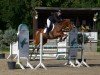 jumper Leyla 47 (Hanoverian, 2018, from Levisonn 208 FIN)