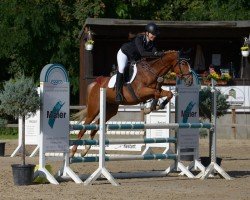 jumper Leyla 47 (Hanoverian, 2018, from Levisonn 208 FIN)