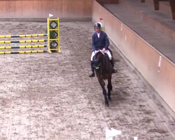 Reitturnier Leck 2024