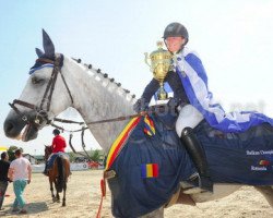 jumper Electic Elvis C (KWPN (Royal Dutch Sporthorse), 2009, from Corlensky G)