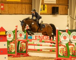 jumper Felicity 42 (German Sport Horse, 2016, from Quiz)