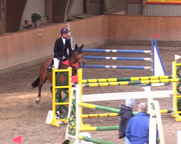 Reitturnier Leck 2024