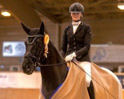 dressage horse Freiherr Von Otterndorf (Rhinelander, 2017, from Frascino)