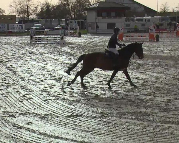 Reitturnier Grafenrheinfeld/Ufr. 2024