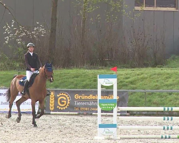 Reitturnier Grafenrheinfeld/Ufr. 2024