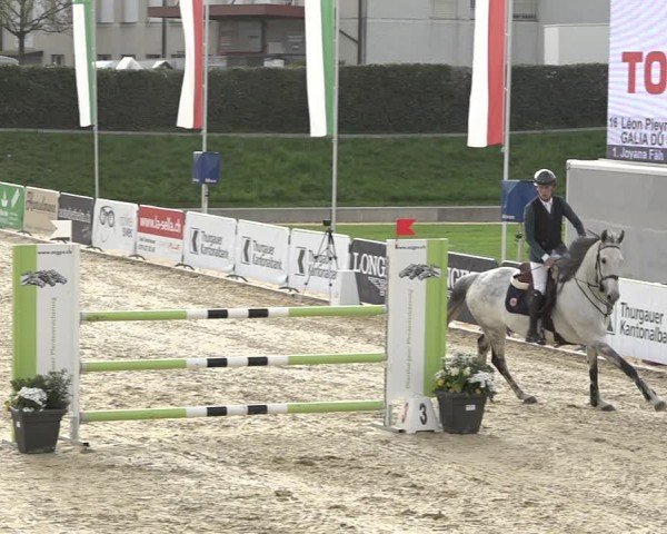 Reitturnier Amriswil 2024
