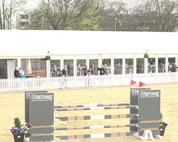 Reitturnier Amriswil 2024
