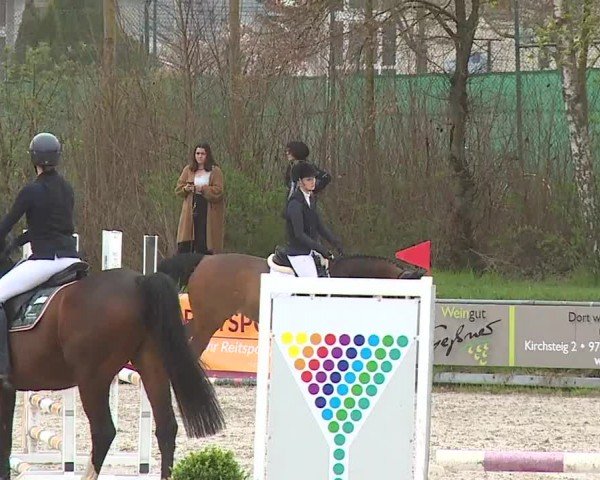 Reitturnier Grafenrheinfeld/Ufr. 2024