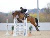 jumper Challenge Me (Hanoverian, 2017, from Canturano I)