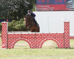 jumper Goldfire 19 (German Sport Horse, 2006, from Moosbachhofs Goldwing)