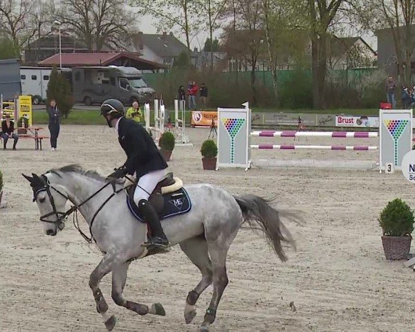 Reitturnier Grafenrheinfeld/Ufr. 2024
