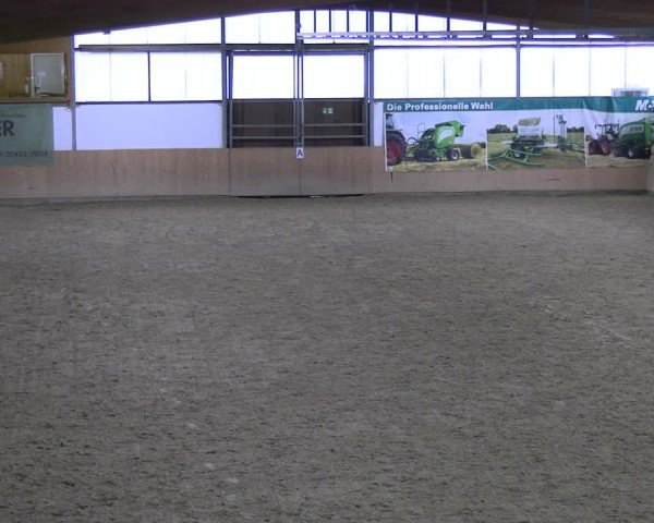 Reitturnier Borgholzhausen-Westbarthausen 2024