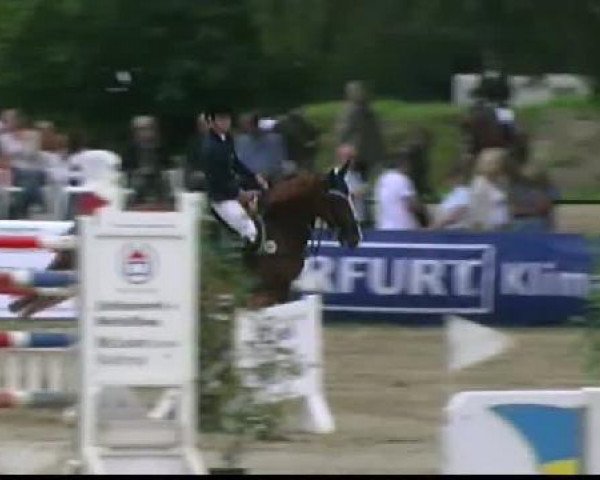 Waltrop 2011