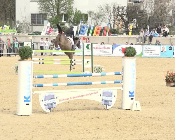 Reitturnier Amriswil 2024