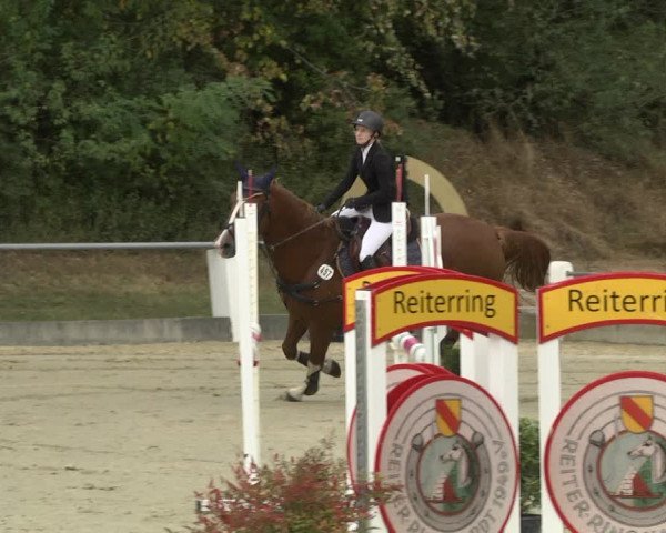 Reitturnier Forst 2021