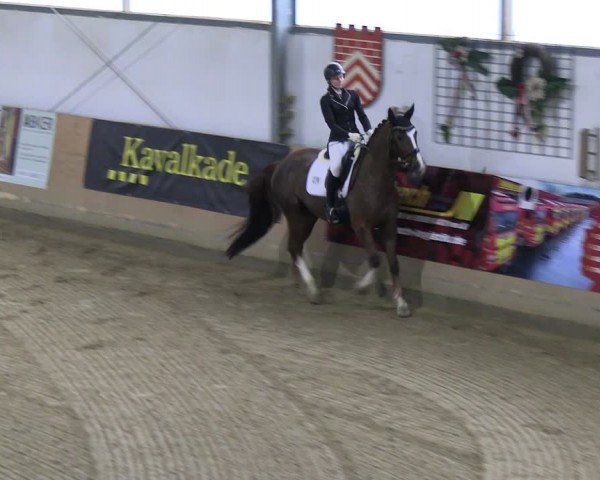 Reitturnier Borgholzhausen-Westbarthausen 2024