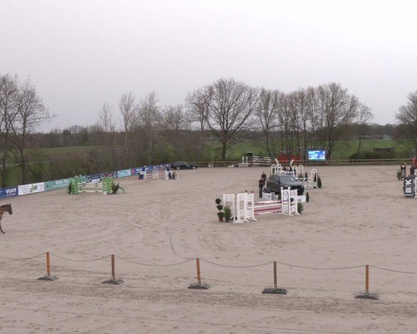 Reitturnier Scharnebeck 2024