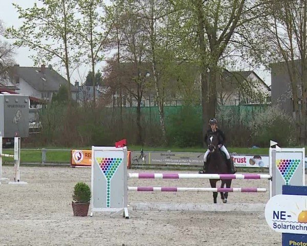 Reitturnier Grafenrheinfeld/Ufr. 2024