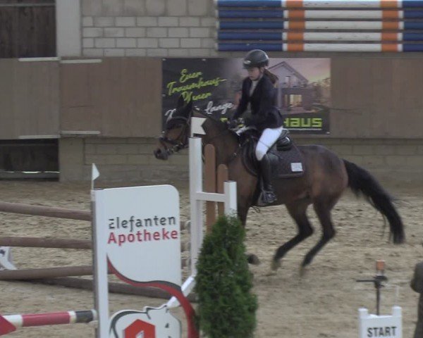 Reitturnier Oelde 2024