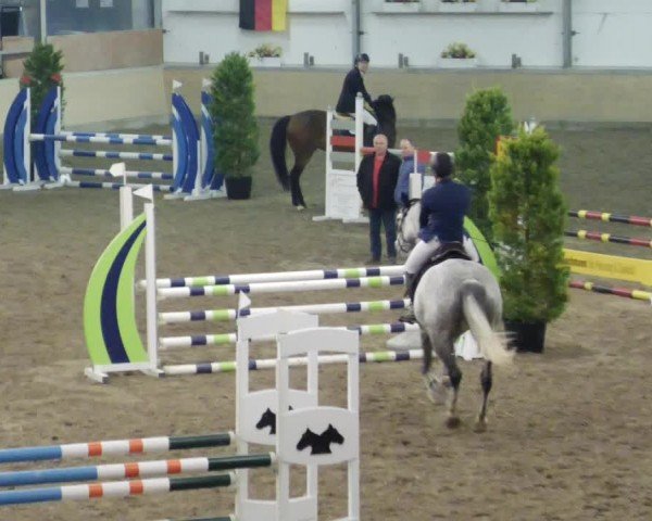 Reitturnier Waghäusel-Wiesental 2024