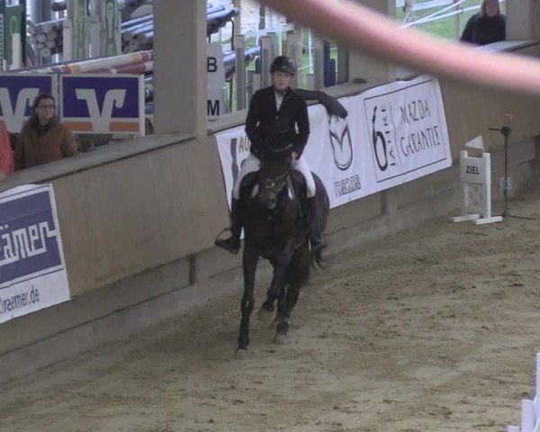 Reitturnier Oelde 2024