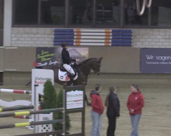 Reitturnier Oelde 2024
