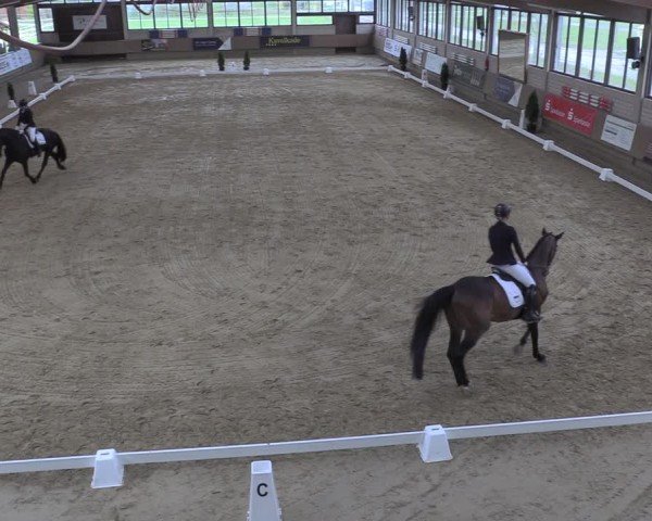 Reitturnier Oelde 2024