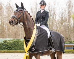 dressage horse Vaida - Girl OLD (Oldenburg, 2017, from Vitalis)