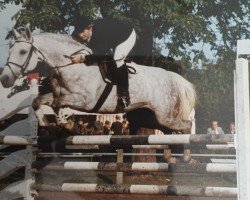 horse Colette (Holsteiner, 1980, from Calvados I)