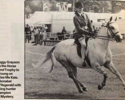 Pferd t'Acre Kiss Me Kate (New-Forest-Pony, 1980, von Deeracres Golden Monarch)