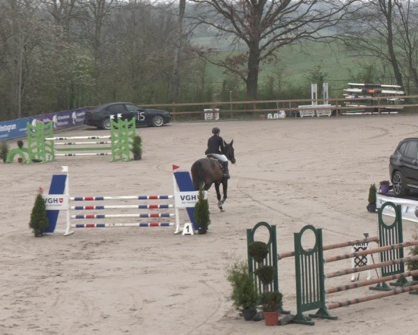 Reitturnier Scharnebeck 2024