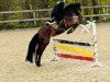 Springpferd Pacco 110 (unbekannt, 2009, von Crystal Cool Spirit)