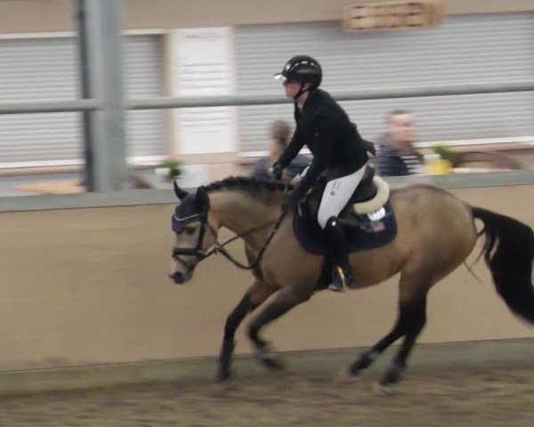 Reitturnier Waghäusel-Wiesental 2024