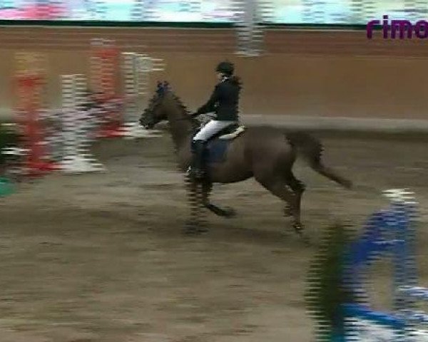 Heiden 2011