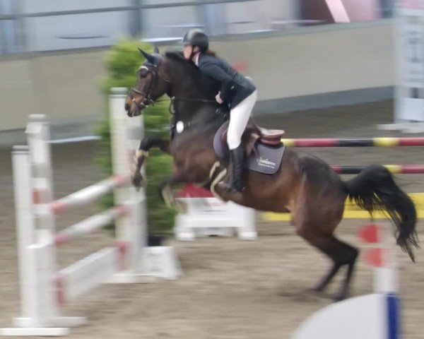 Reitturnier Waghäusel-Wiesental 2024