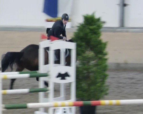 Reitturnier Waghäusel-Wiesental 2024
