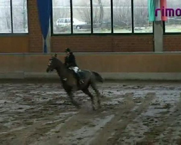 Heiden 2011