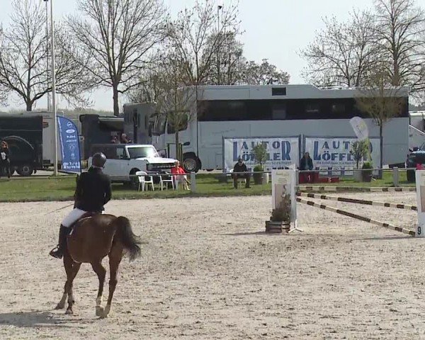 Reitturnier Grafenrheinfeld/Ufr. 2024