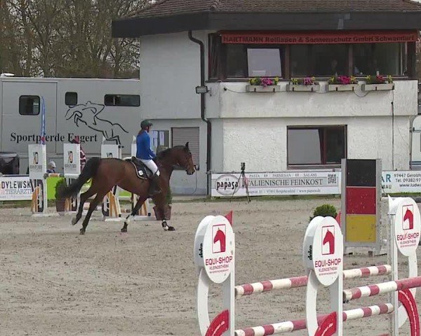 Reitturnier Grafenrheinfeld/Ufr. 2024