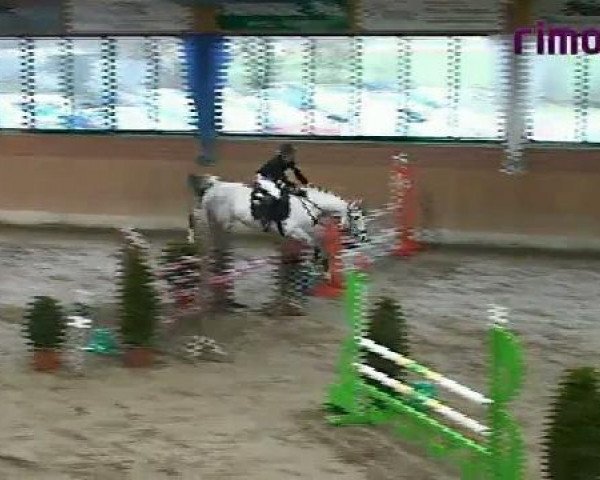 Heiden 2011