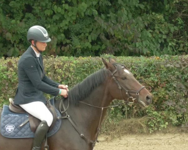 Reitturnier Böblingen 2021
